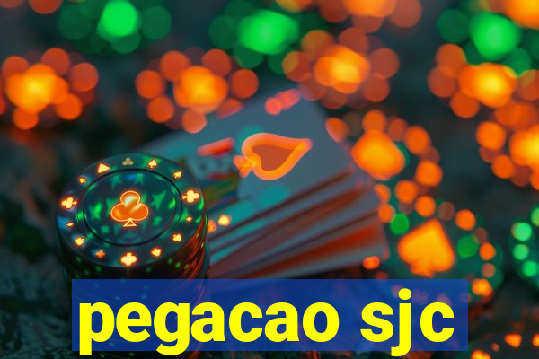 pegacao sjc